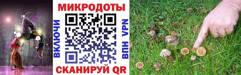 Галлюциногенные грибы Psilocybe  Купить закладки  Дно 